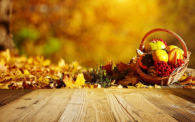 Autumn, fall, harvest, leaves, HD wallpaper