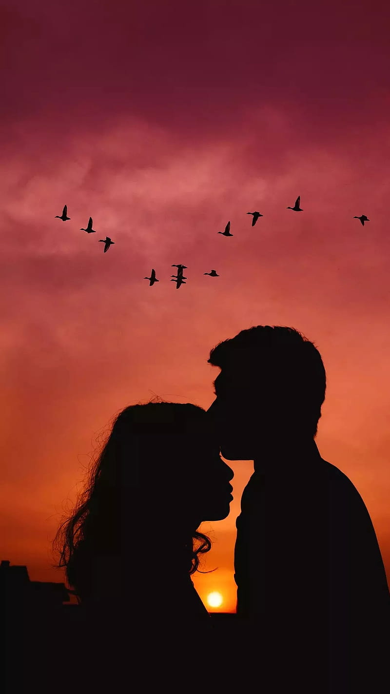 True love, birds, female, kiss, male, silhouette, sky, sun, sunset, HD phone wallpaper