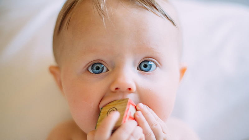 Grey Eyes Cute Charming Boy Baby Is Chewing Toy Cute, HD wallpaper