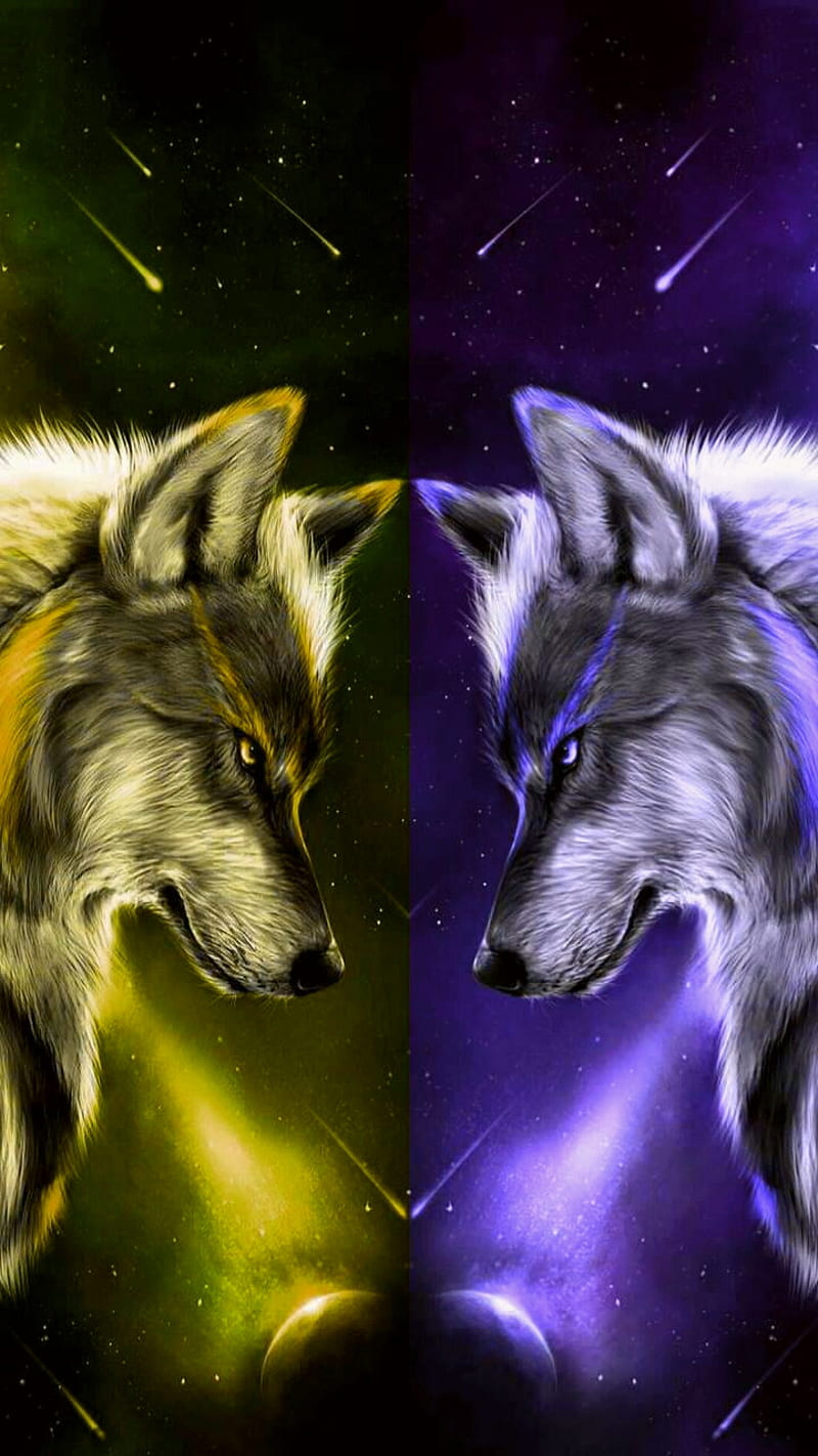 Wolves9, wolf, wolves, blue, gold, yellow, HD phone wallpaper