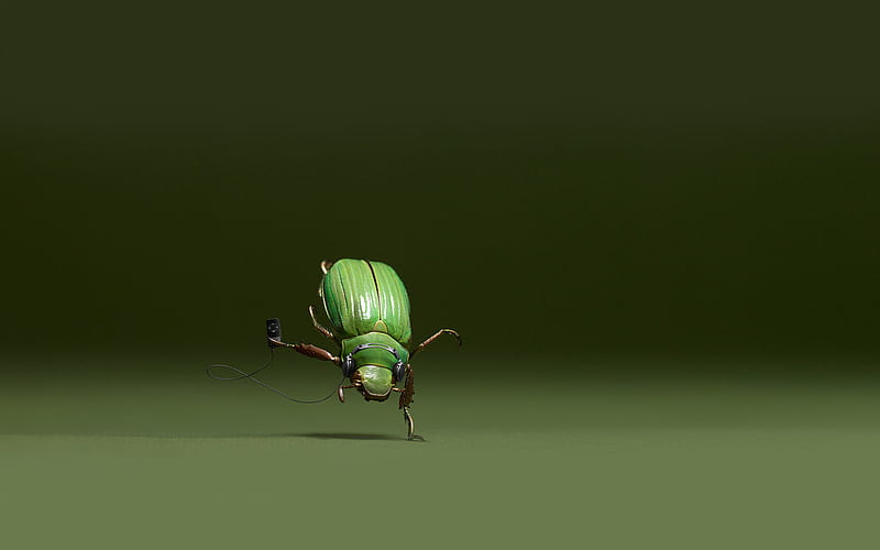 Bug Dance, bug, insect, dance, green, HD wallpaper