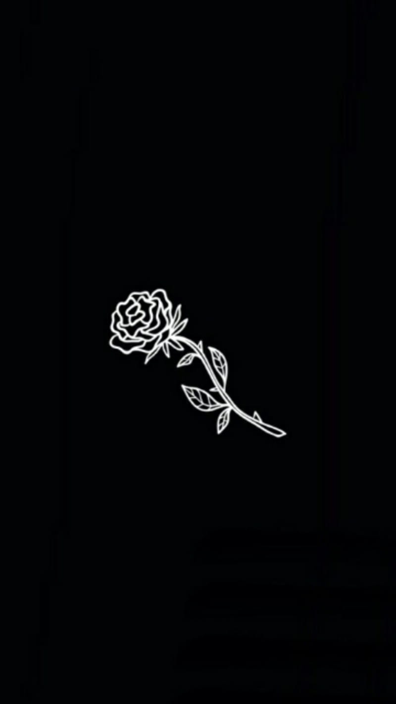 Roses, bonito, black, HD phone wallpaper | Peakpx