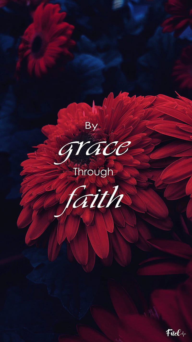 Grace , flower, fuel, iphone, quotes, HD phone wallpaper