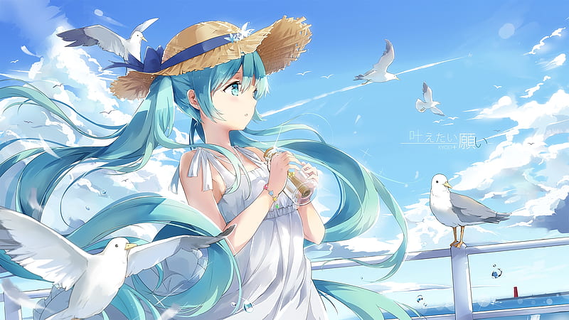 Hatsune Miku, pretty, dress, bonito, clouds, message in a bottle, sweet, girlmbeauty, anime, anime girl, long hair, blue, seagles, lovely, twintails, soft, sky, hat, blue hair, summer, white, HD wallpaper