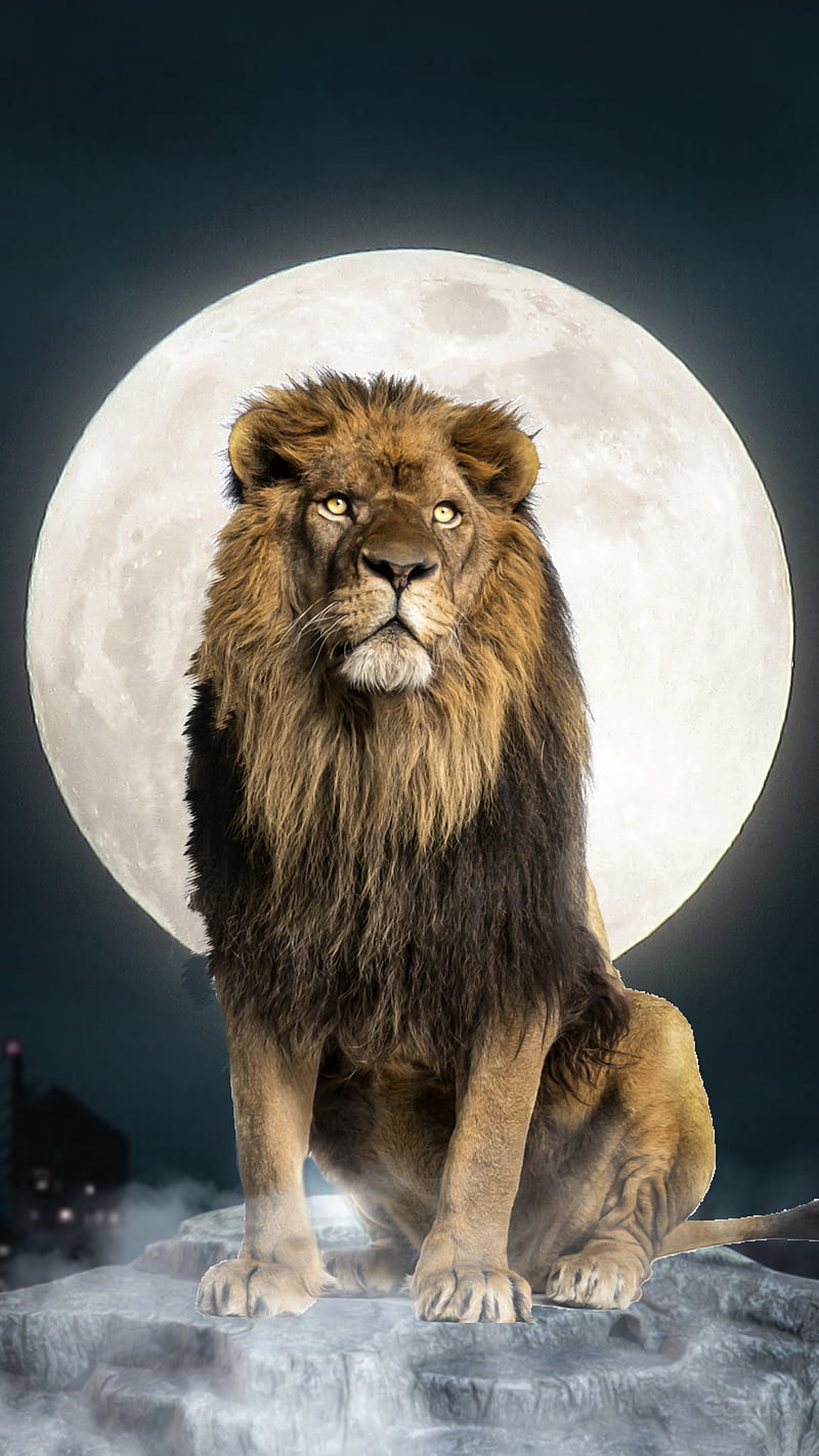 LION AND MOON, 