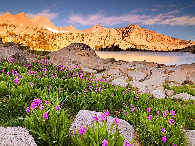 Lake Mountain Grass Lake Mountain Stone Summer Slope Peaks