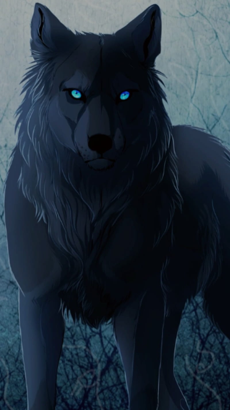 Wolf, blue, dark, black, wolves, HD phone wallpaper