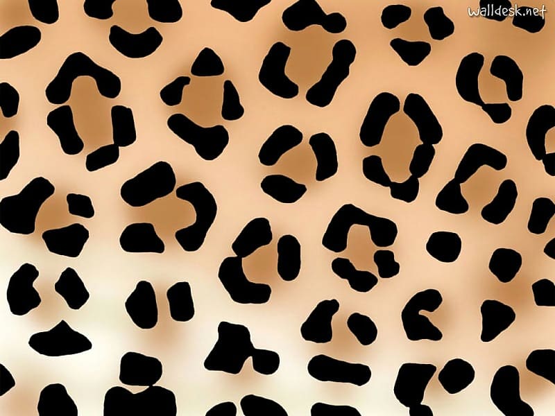 leopard print cute leopard print [] for your , Mobile & Tablet. Explore Cheetah Print . Cheetah , Leopard Print Background, Leopard Skin, HD wallpaper
