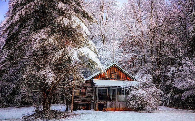 Little Cabin in the Snow, house, trees, pinetrees, forest, frosty, ice, HD wallpaper