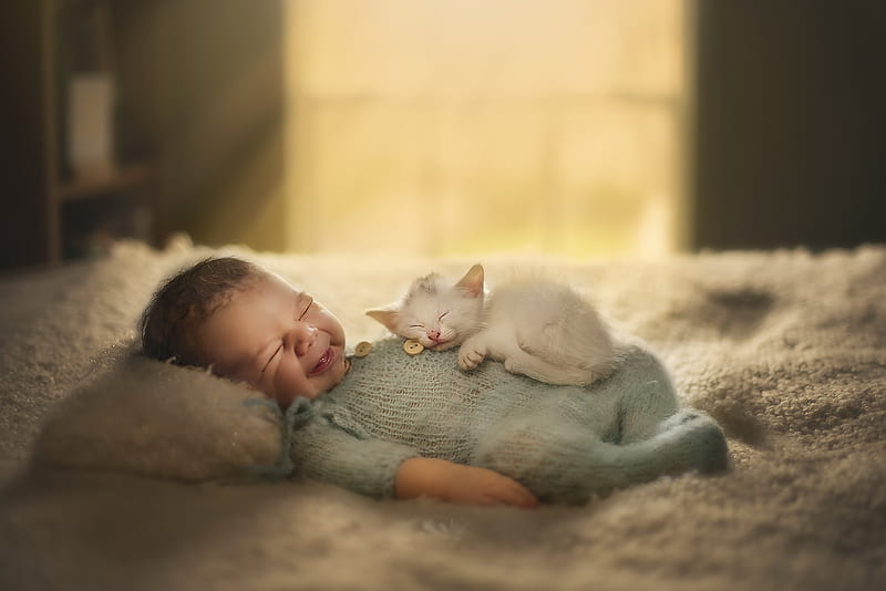 Precious baby & kitten, cute, aww, kitten, baby, HD wallpaper
