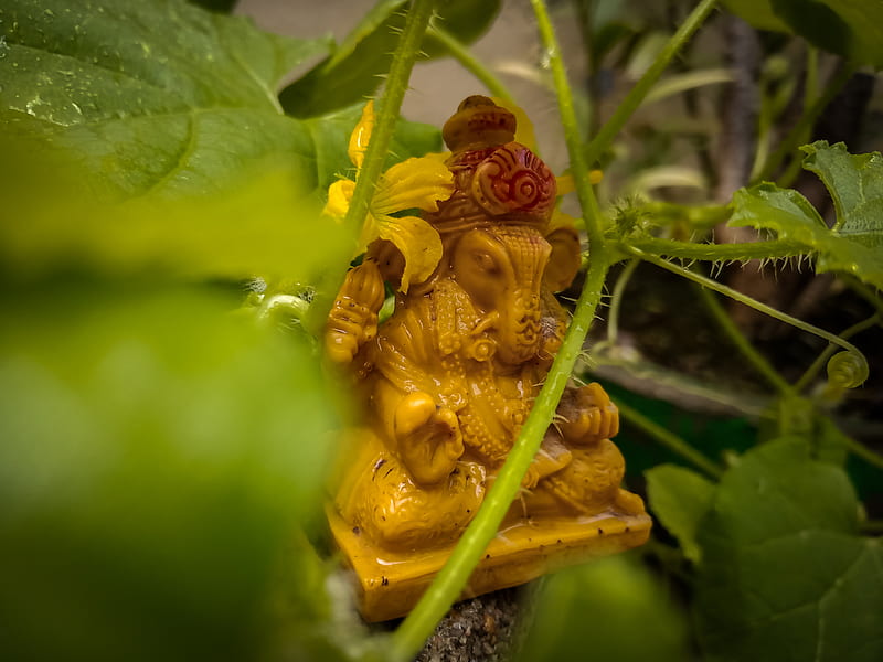 Om Ganeshay Namah, ganesh ji, god, love nature, nature, HD wallpaper