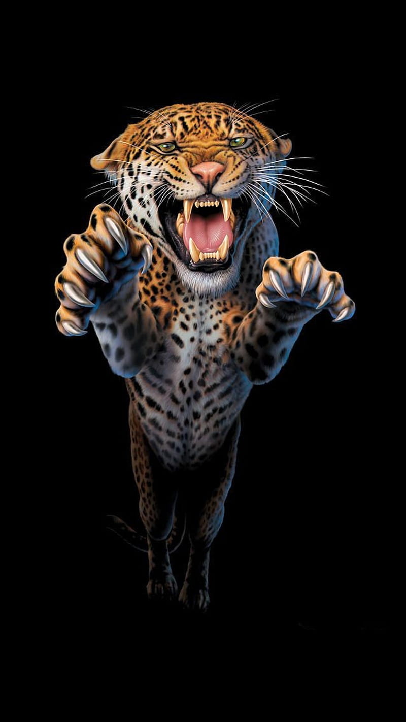 Leopard, angry, animal, black, drawings, teeth, wild, HD phone wallpaper |  Peakpx