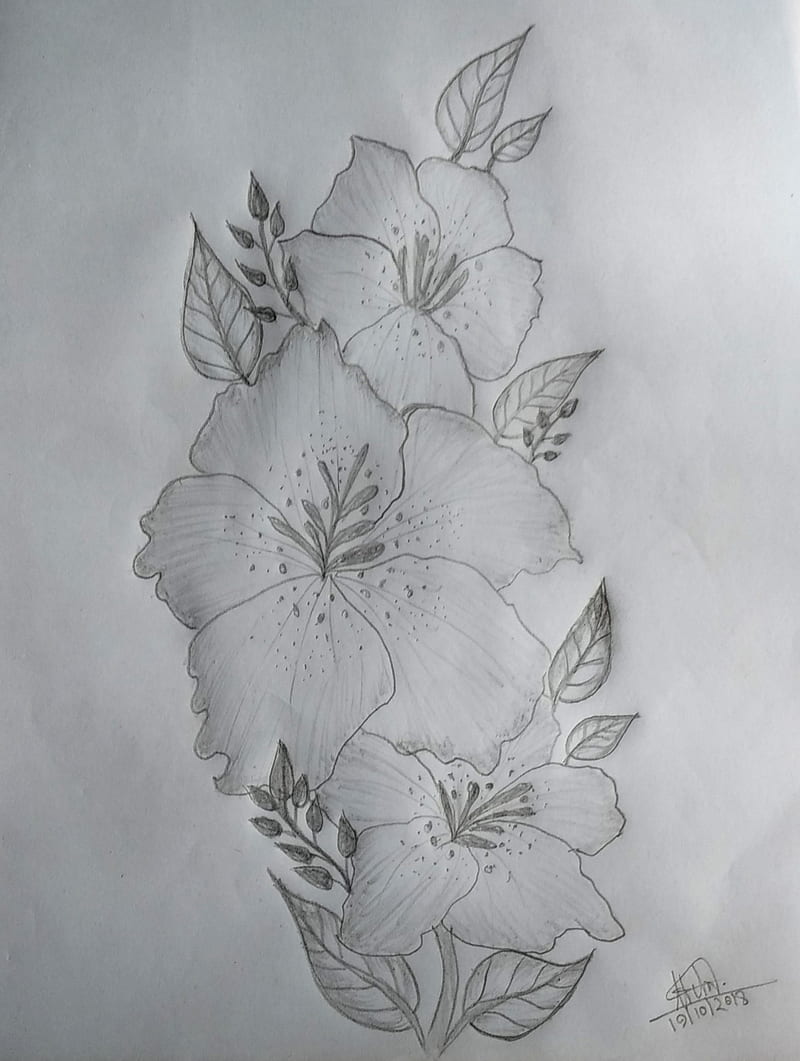 The extremely calming pencil drawing - INESE'S ART STUDIO