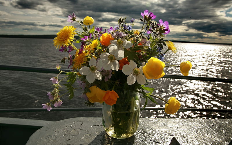 Seaside vase- Flower, HD wallpaper