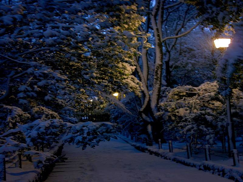 WINTER PARK, snow, path, park, lamp post, night, winter, light, HD wallpaper