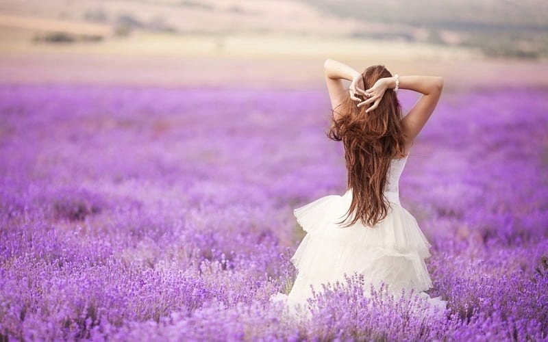 Lavender Girl, dress, girl, field, back, HD wallpaper
