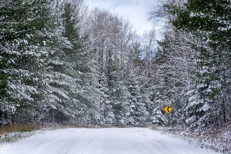 forest, snow, road, signpost, winter, HD wallpaper