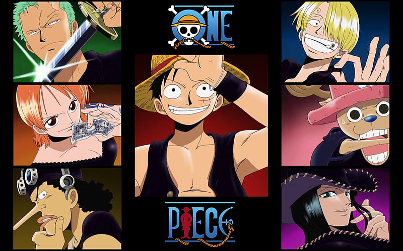 One Piece, strawhats, robin, nami, zolo, sanji, luffy, usopp, chopper, HD wallpaper
