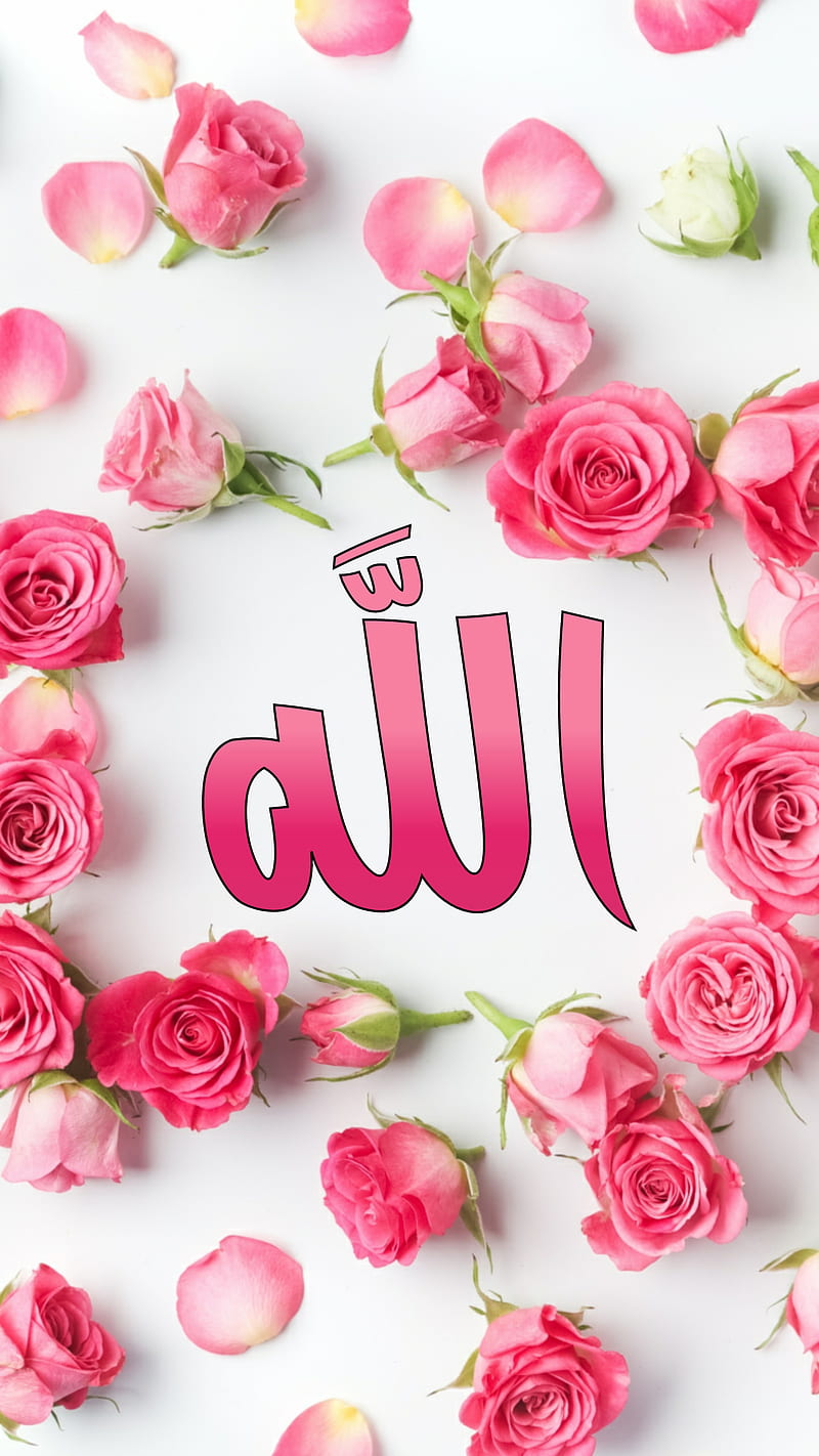 Allah , god, flower, athkar, islamic, pink galaxy, theme, nice, HD phone wallpaper