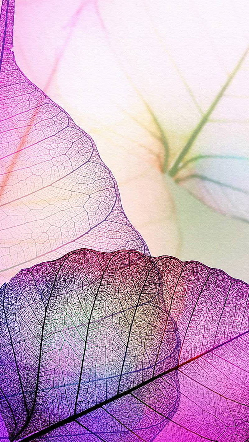 Colorful leaves, 2018, pone, HD phone wallpaper