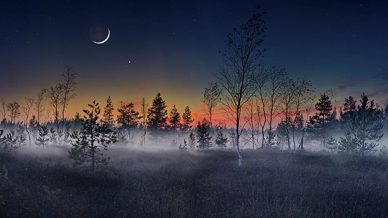 crescent moon over foggy forest, forest, stars, moon, dusk, fog, HD wallpaper
