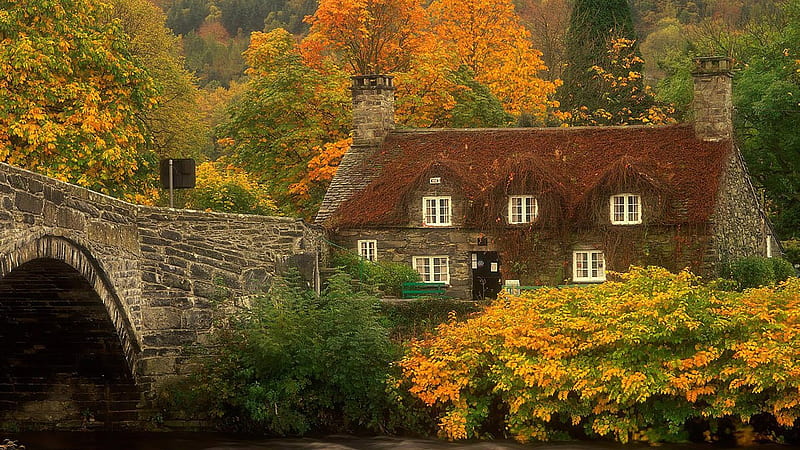 Charming Cottage and Foliage, colorful, lovely cottage, autumn, bridge, tunnel, trees, nestled, HD wallpaper