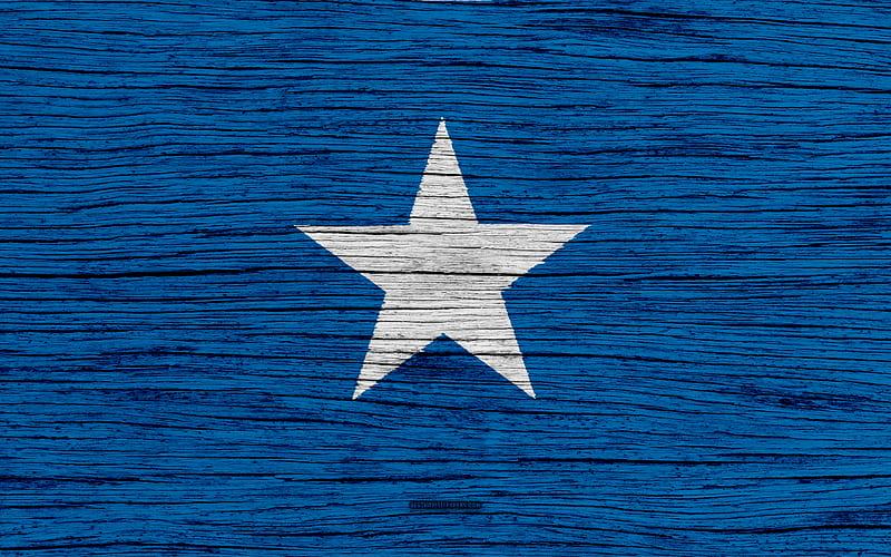 Flag of Somalia Africa, wooden texture, Somalian flag, national symbols, Somalia flag, art, Somalia, HD wallpaper