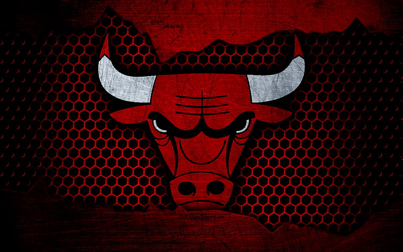 Chicago Bulls logo, NBA, basketball, Eastern Conference, USA, grunge, metal texture, Central Division, HD wallpaper