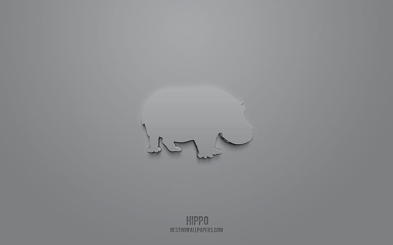 Hippo 3d icon, gray background, 3d symbols, Hippo, creative 3d art, 3d icons, Hippo sign, Animals 3d icons, HD wallpaper