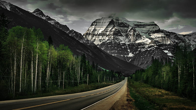 America road, forest, mountains, USA, HD wallpaper