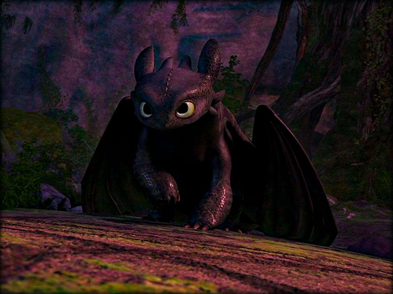 Toothless HtTYD, dragon, how to train your dragon, HD wallpaper