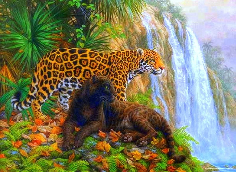 El Dorado - Jaguars, draw and paint, autumn, tigers, love four seasons, autumn beauty, attractions in dreams, creative pre-made, waterfalls, landscapes, jungle, wildlife, jaguars, forests, animals, falls, HD wallpaper