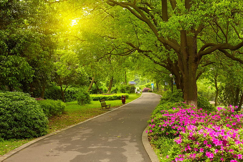 Spring park, walk, spring, park, bonito, trees, alley, pretty, greenery, sunny, freshness, flowers, HD wallpaper