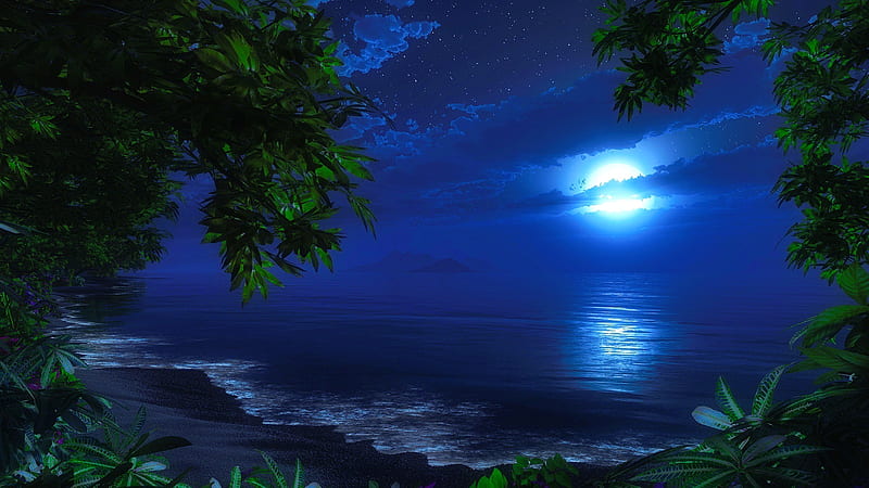 Night beach, ocean, sea, beach, moon, dark, summer, moonlight, reflection, branches, night, HD wallpaper