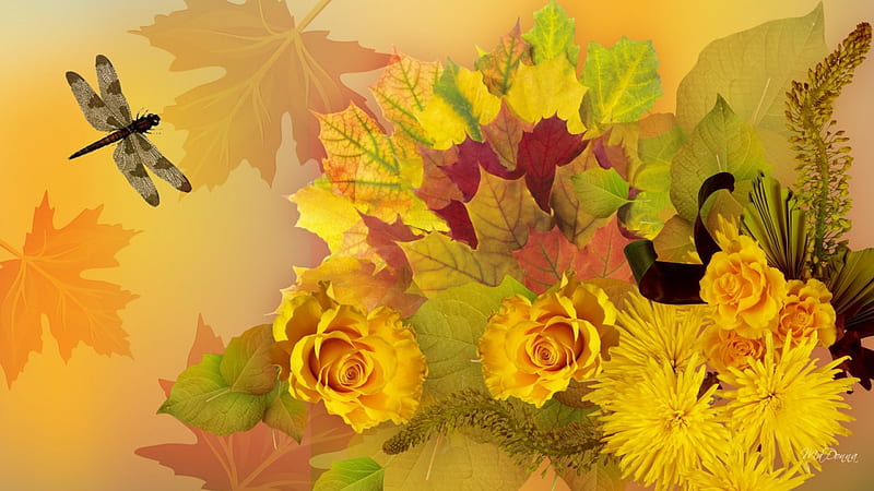 Maple Leaves and Flowers, fall, autumn, maple, yellow, mums, roses, abstract, leaves, gold, amber, dragonfly, chrysanthemums, insect, flowers, HD wallpaper