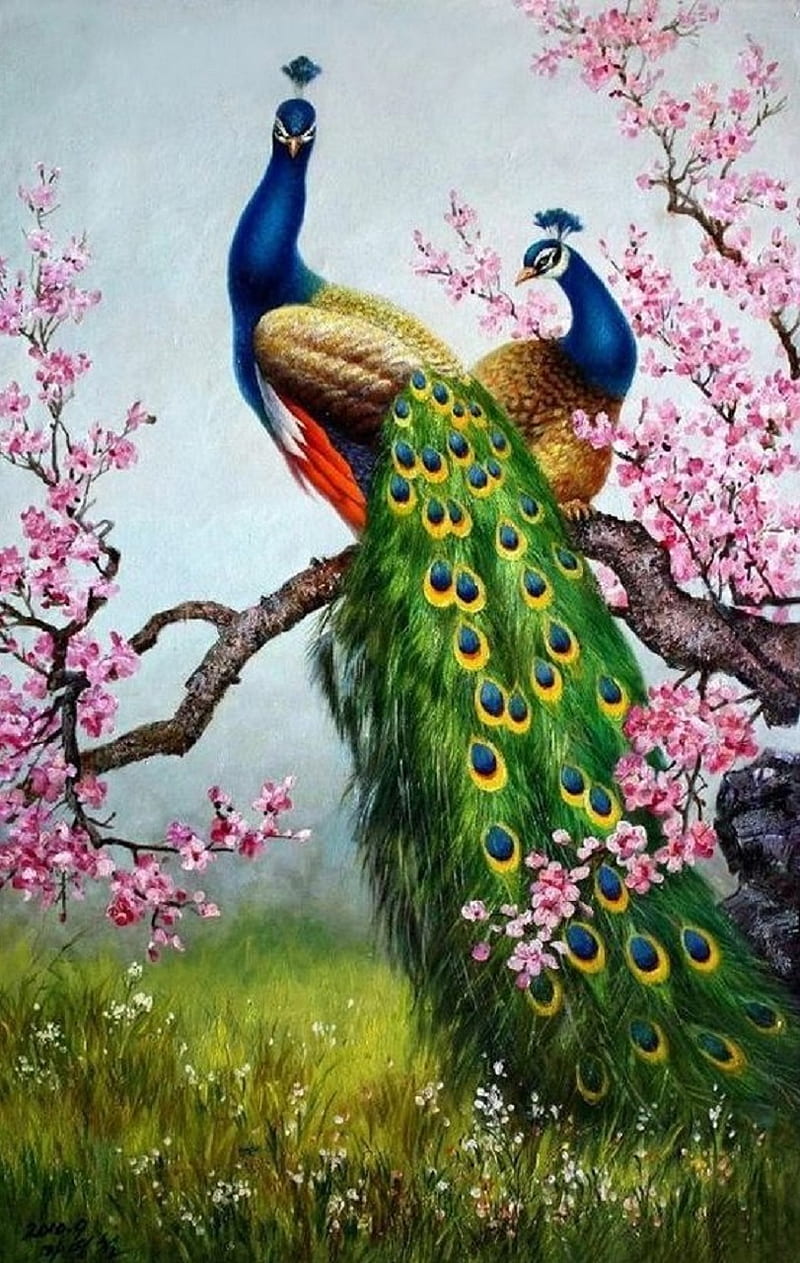 Best 35+ Peacock Images, Photos, Pictures, Pics, Wallpaper - Mixing Images