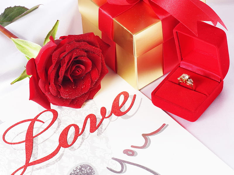 love, red, Wedding, engagement ring, drop, rose, Wedding rings, gift, HD wallpaper