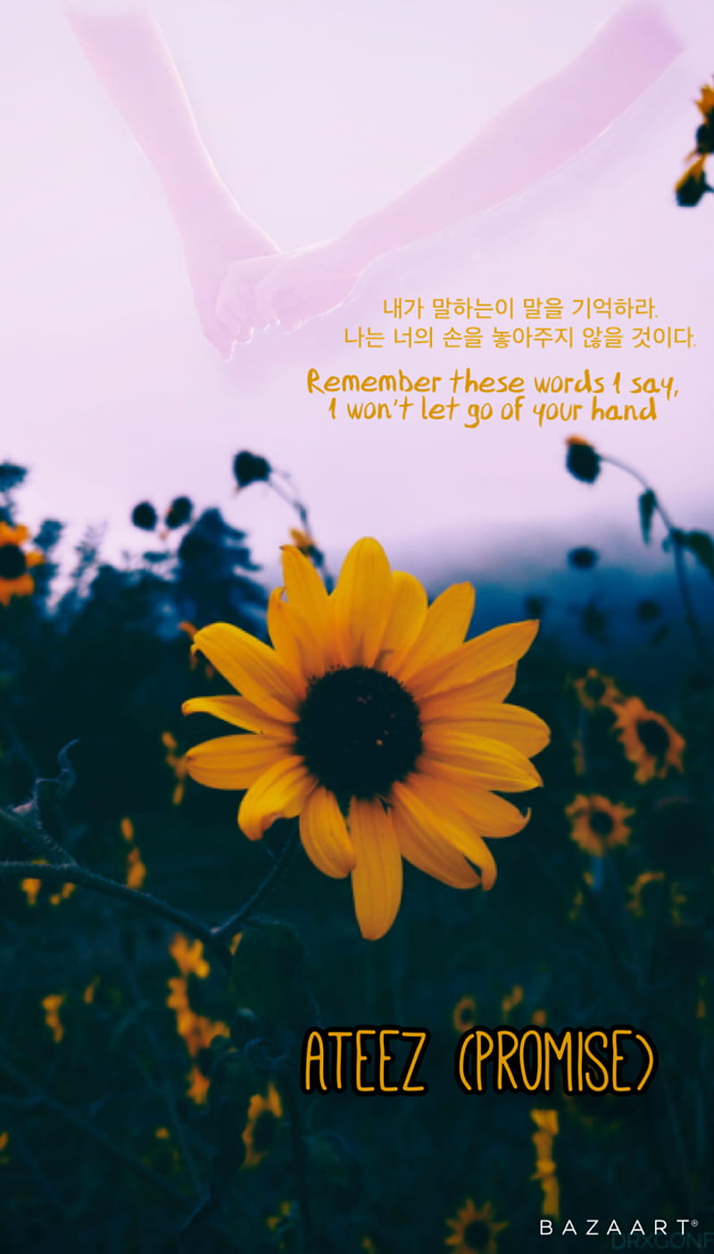 Ateez Promise, dark, friends, kpop, love, quote, song, song quote, sunflower, HD phone wallpaper
