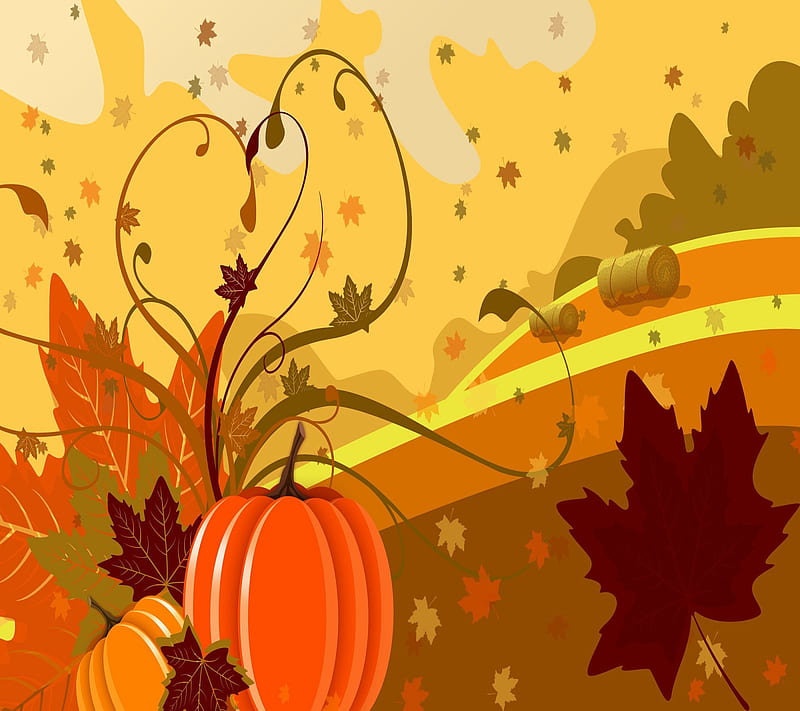 Autumn, pumpkin, HD wallpaper | Peakpx