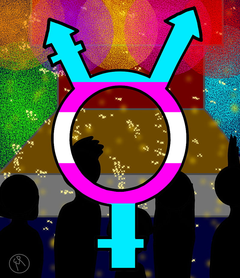 Transgender , trans, HD phone wallpaper