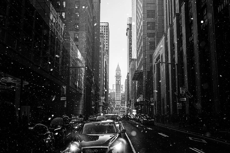 city, street, bw, carros, snowfall, snow, HD wallpaper