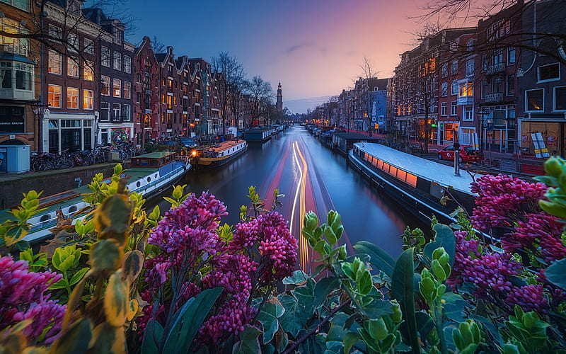 Amsterdam, evening, canal, boats, cityscape, city lights, Netherlands, HD wallpaper