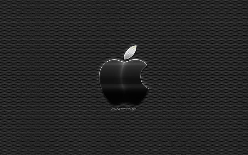 Apple logo, stylish metal logo, emblem, metal mesh, creative art, Apple, HD wallpaper