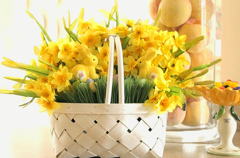 Sunny daffodils, 100, basket, daffodils, flowers, yellow, sunny, bunnies, HD wallpaper
