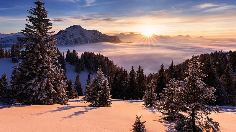 Winter in Bavarian Alps, clouds, trees, sunset, mist, landscape, snow, mountains, sky, germany, HD wallpaper