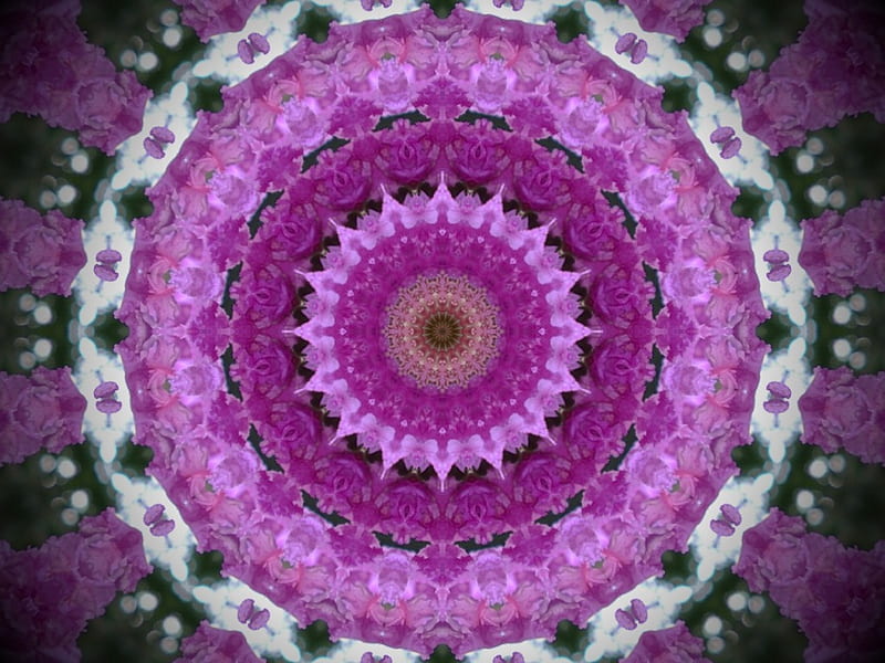 Lilac Crepe Myrtle Flowers, lilac, special, circles, geometric, crepe, unusual, repeating, myrtle, bright, flowers, wheel, desenho, fun, happy, purple, interesting, colours, nature, petals, spirals, pastel, patterns, HD wallpaper