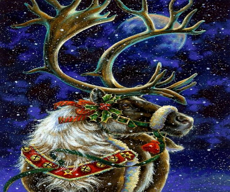 Rudoph, Brown, Reindeer, White, Blue, Rudolph, HD wallpaper