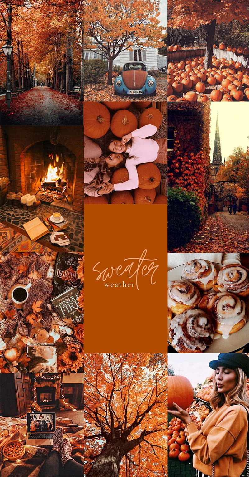Autumn Collage : Sweater Weather 1 - Fab Mood. Wedding Colours, Wedding Themes, Wedding colour palettes, Fall Vibes, HD phone wallpaper