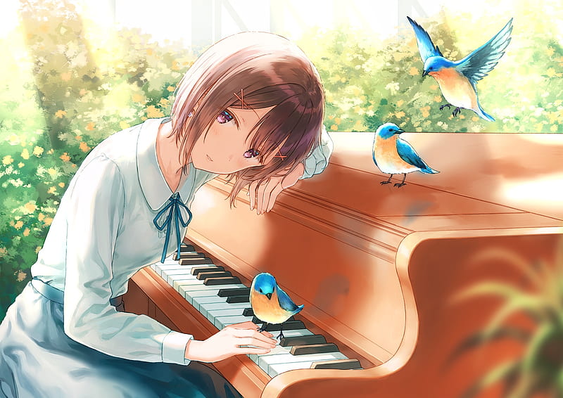Blue Bird Pianist, Skirt, Blue Bird, Musician, Anime, Smile, Anime Pianist, Brown Hair, Blushing, Anime Rocker, Piano, Pianist, Big Eyes, Blue Birds, Flowers, Anime Girl, Purple Eyes, Sunlight, HD wallpaper