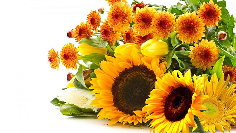 Sunflowers and Chrysanthemums, fall, autumn, yellow, gold, sunflowers, summer, chrysanthemums, tulips, Firefox Persona theme, HD wallpaper